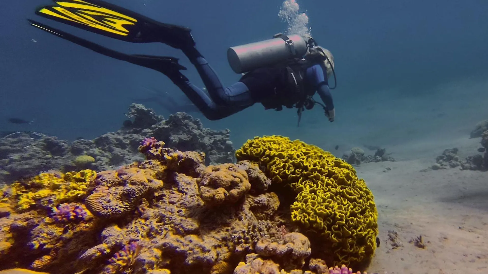 Apartment Bait Alaqaba Dive Center & Resort